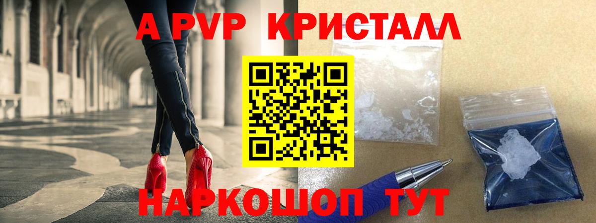 A PVP СК КРИС Губаха