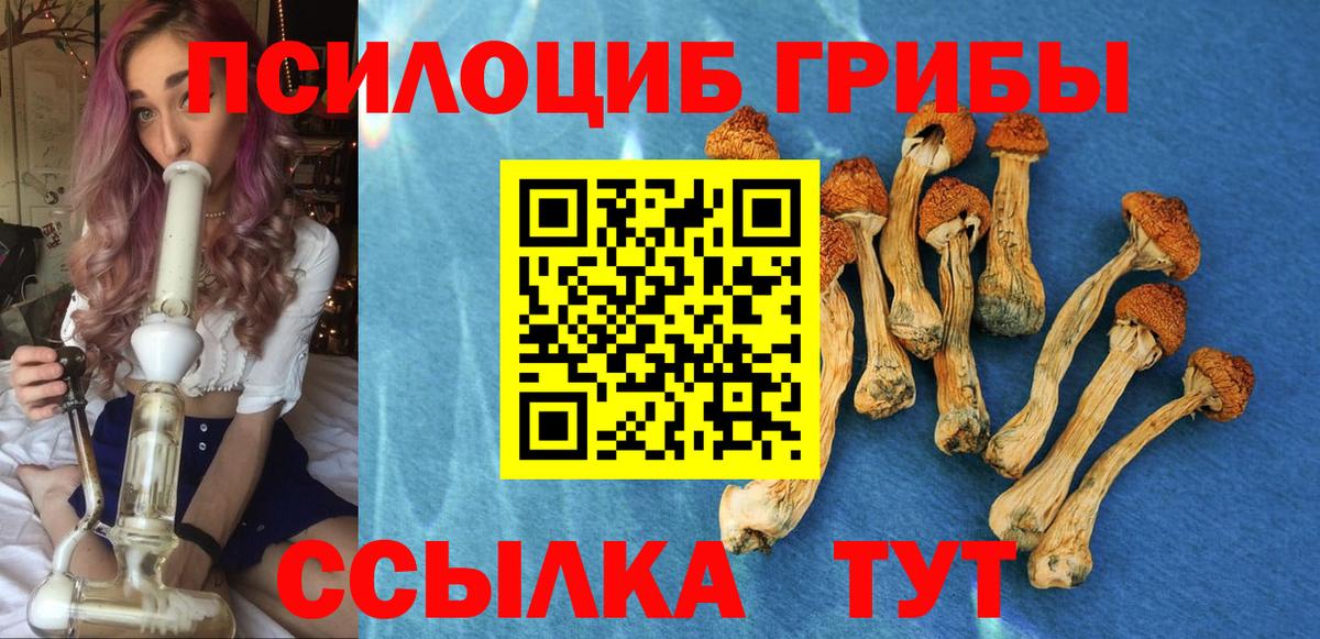 Галлюциногенные грибы MAGIC MUSHROOMS Губаха